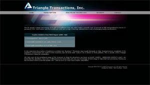 Triangle Transactions Inc.